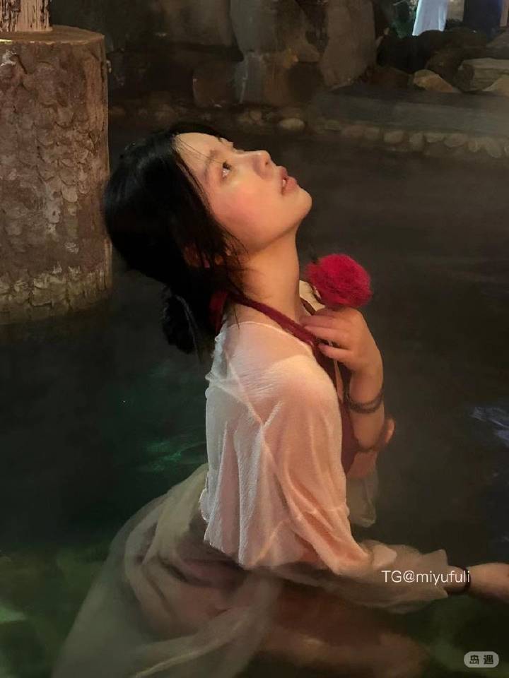 两百亿 | 2026-05-13照片 | 黄鸟翩翩杨柳垂