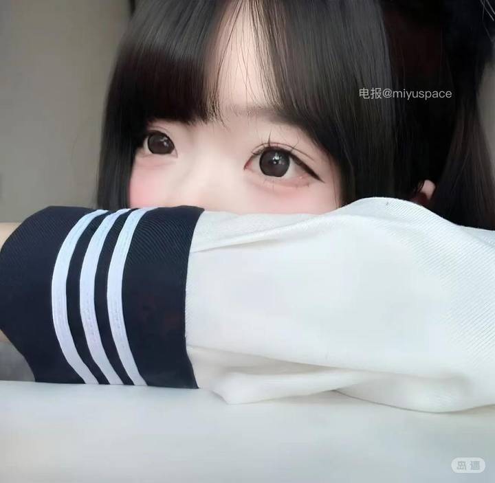综上所述你是笨蛋 | 2026-05-13照片 第30张