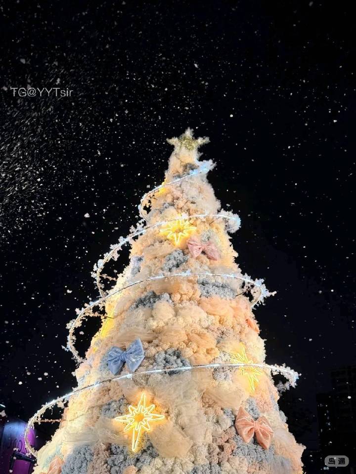 王梦婷 | 2026-05-14_2照片 第5张