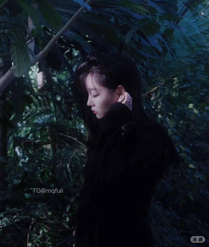 箱猫GRR | 2026-05-28照片 | 一往情深深几许