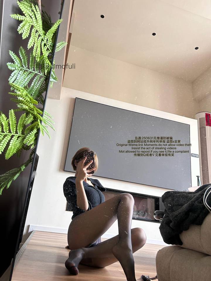 短发那只猫 | 2026-06-06照片 第4张