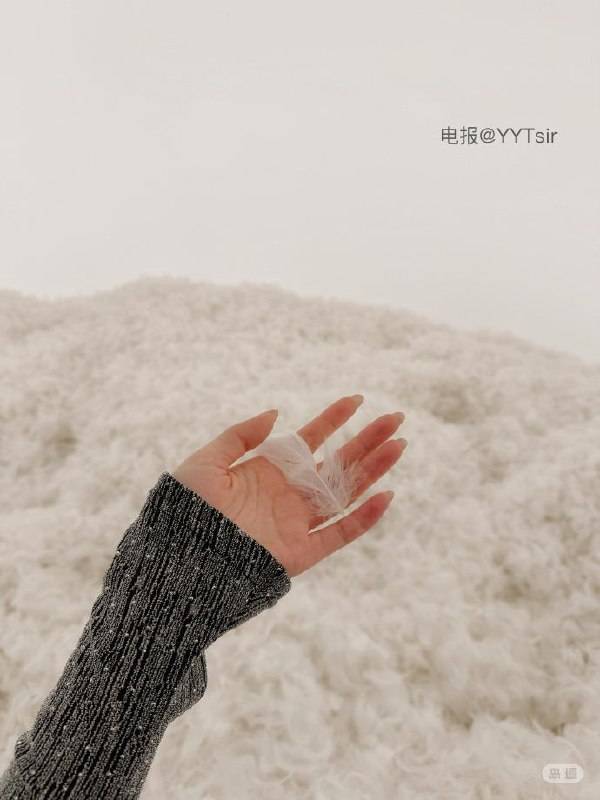 朱甜心呀 | 2026-06-11_1照片 登高壮观天地间 第1张