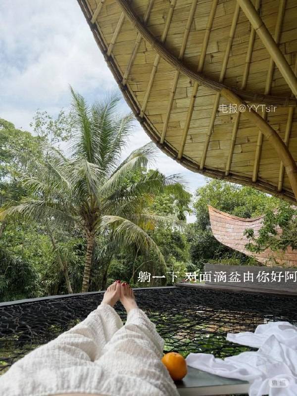 朱甜心呀 | 2026-06-11_1照片 登高壮观天地间 第18张