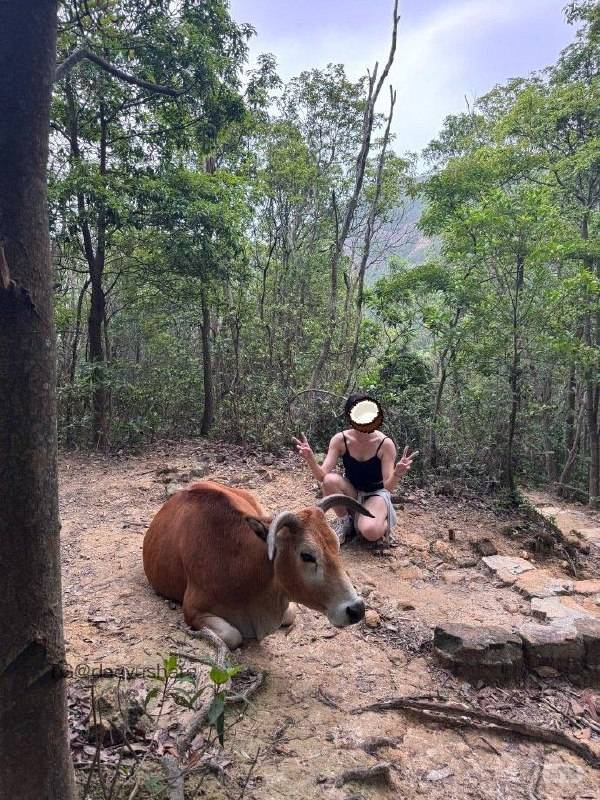 泡澡的银渐层 | 2026-06-18_1照片 卧看满天云不动 第20张