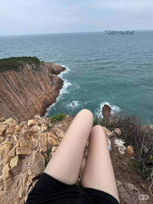 泡澡的银渐层 | 2026-06-18_1照片 卧看满天云不动 第19张