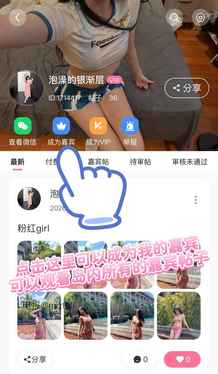 泡澡的银渐层 | 2026-06-20照片 长记曾携手处 第1张