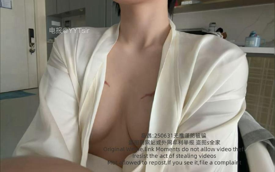 短发那只猫
