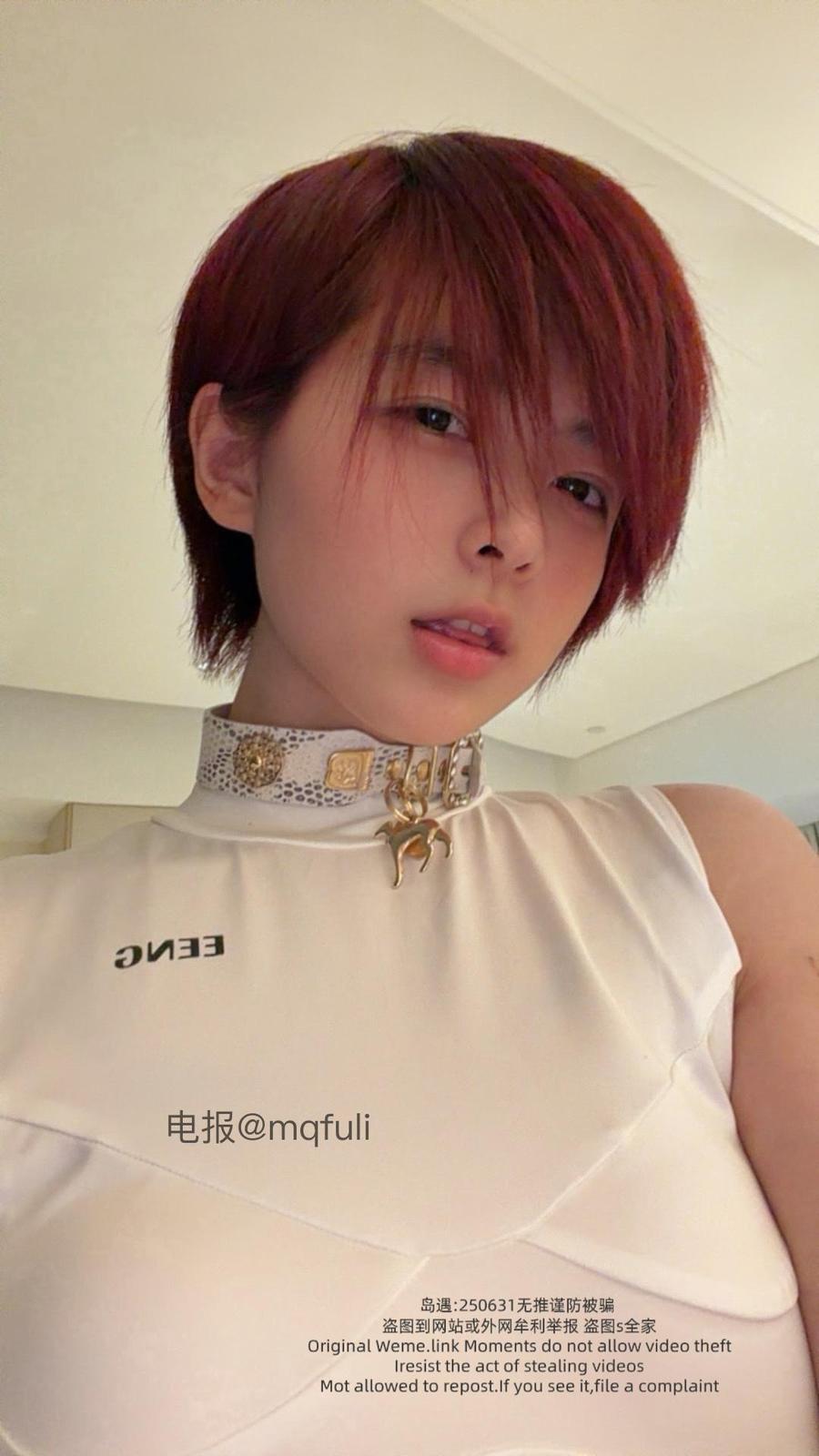 短发那只猫