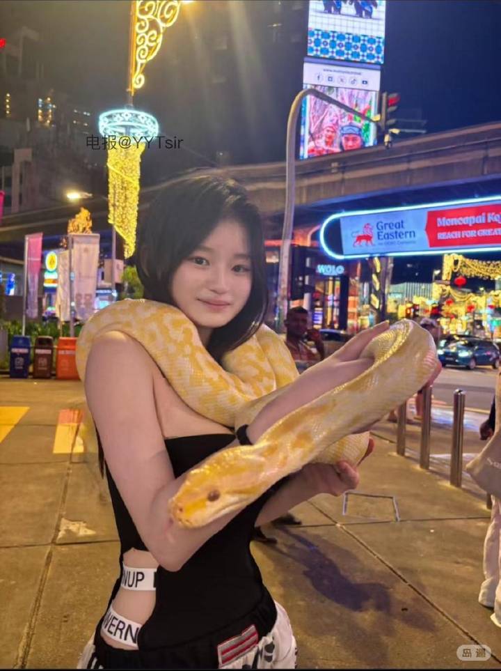 我只有一个美