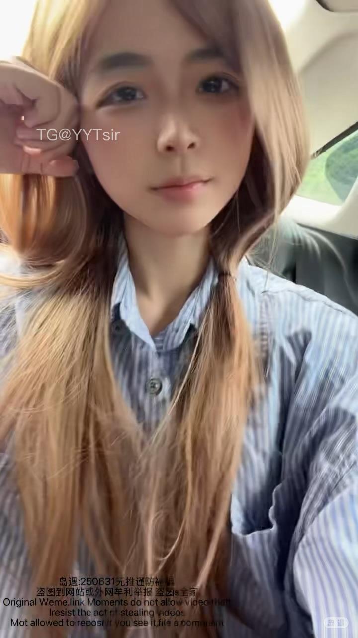 短发那只猫