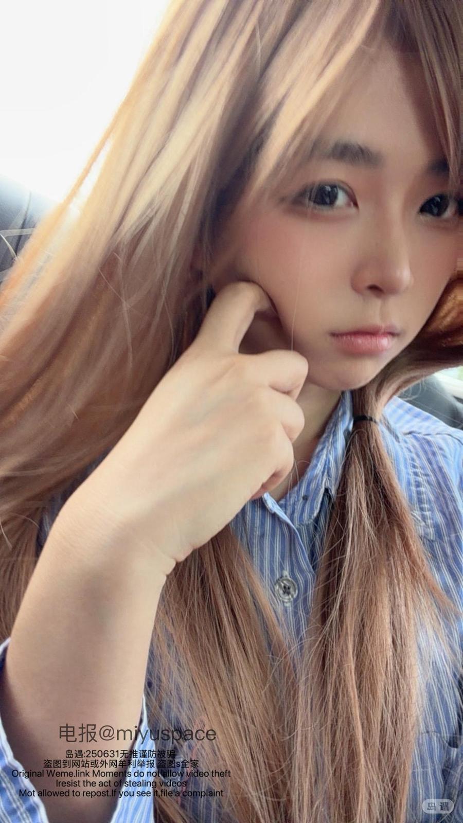 短发那只猫