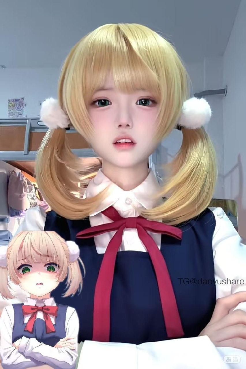芝舒