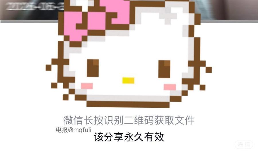 厌世小猫咪