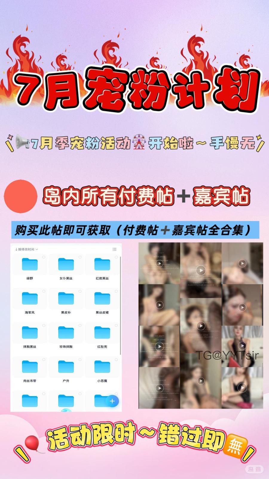 胆胆