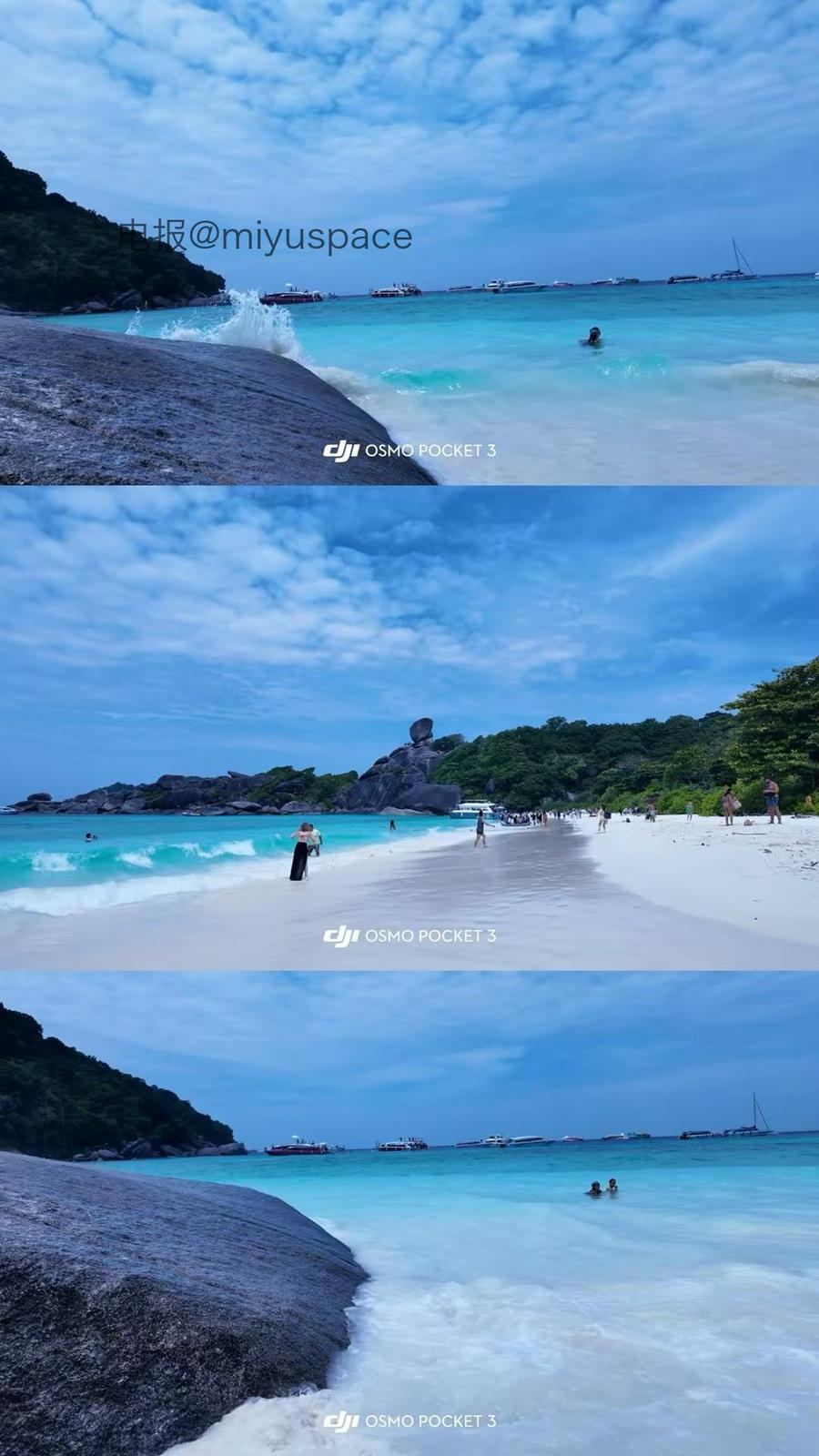 竹箐箐