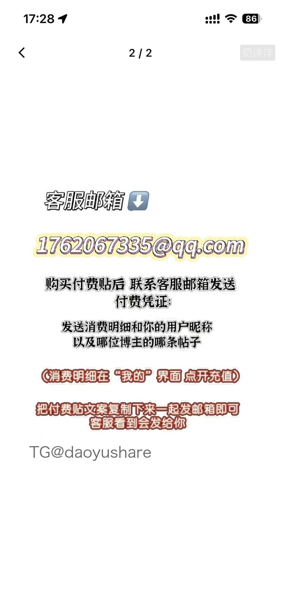 奶洋洋