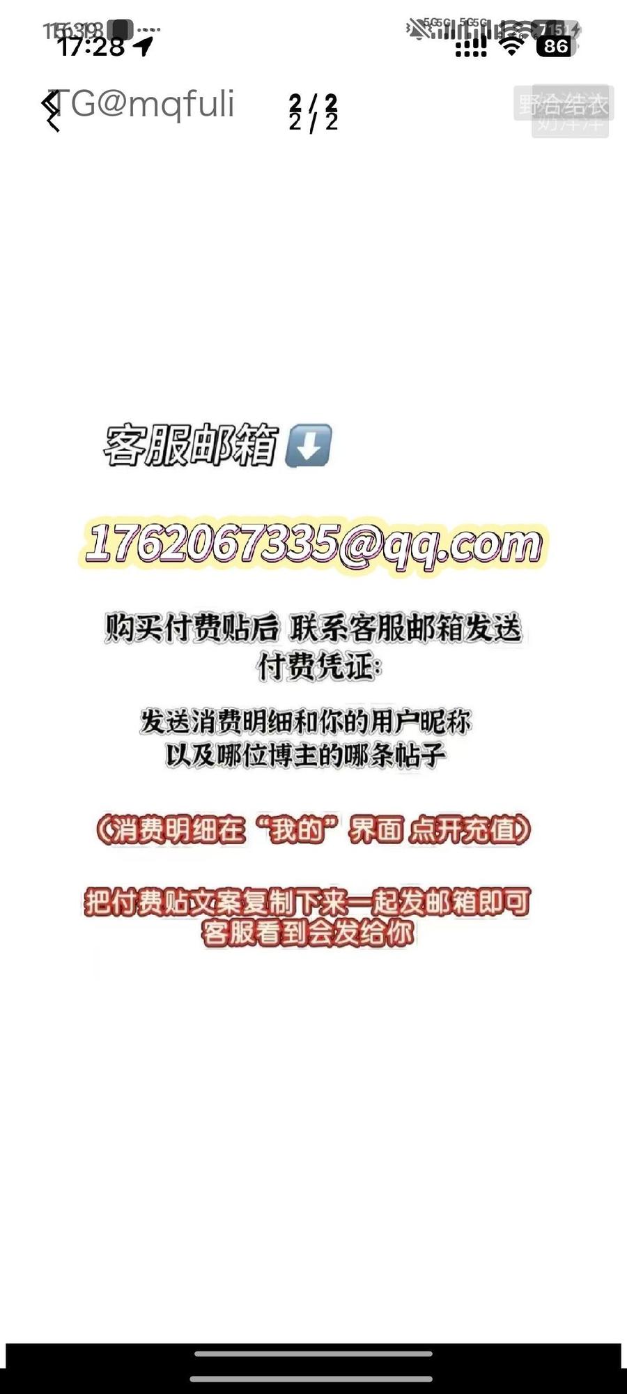 奶洋洋