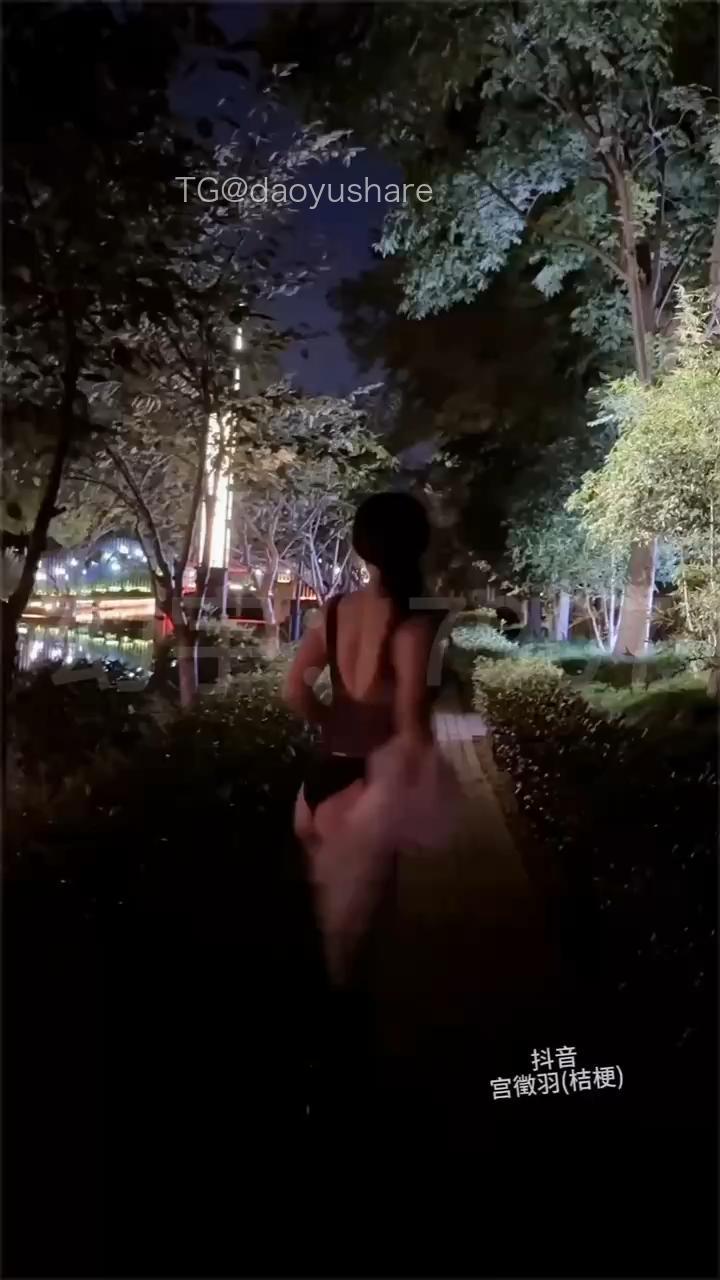 宫徵羽