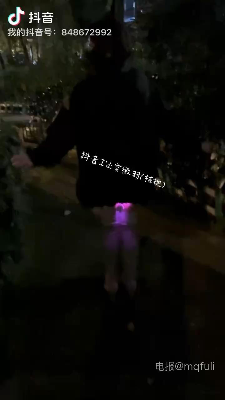 宫徵羽