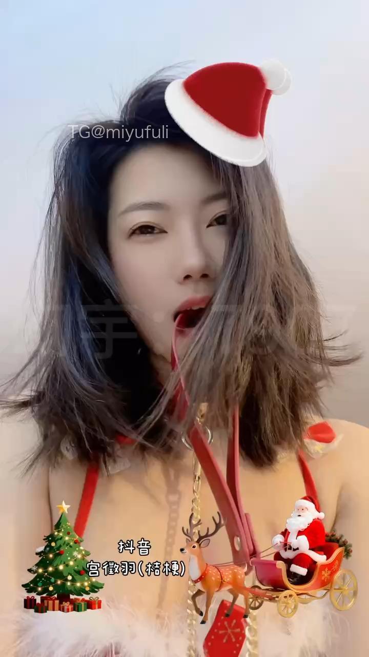 宫徵羽