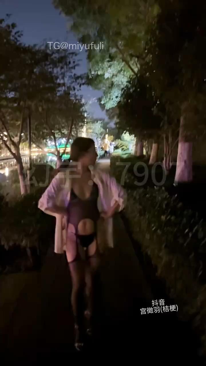 宫徵羽