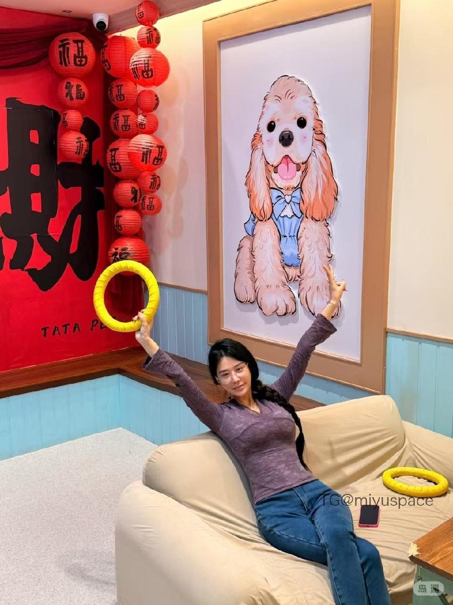 内向小肥宅