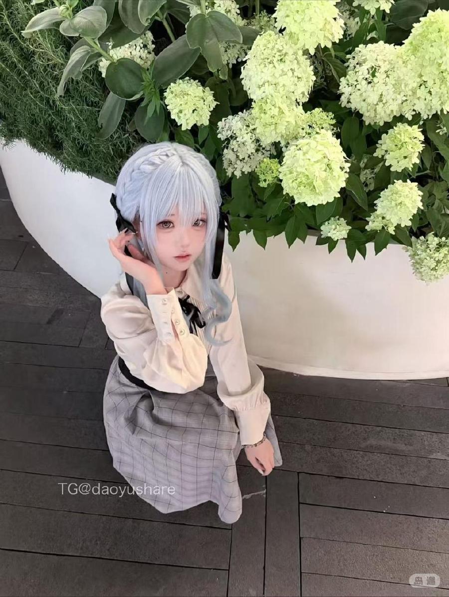 芝舒