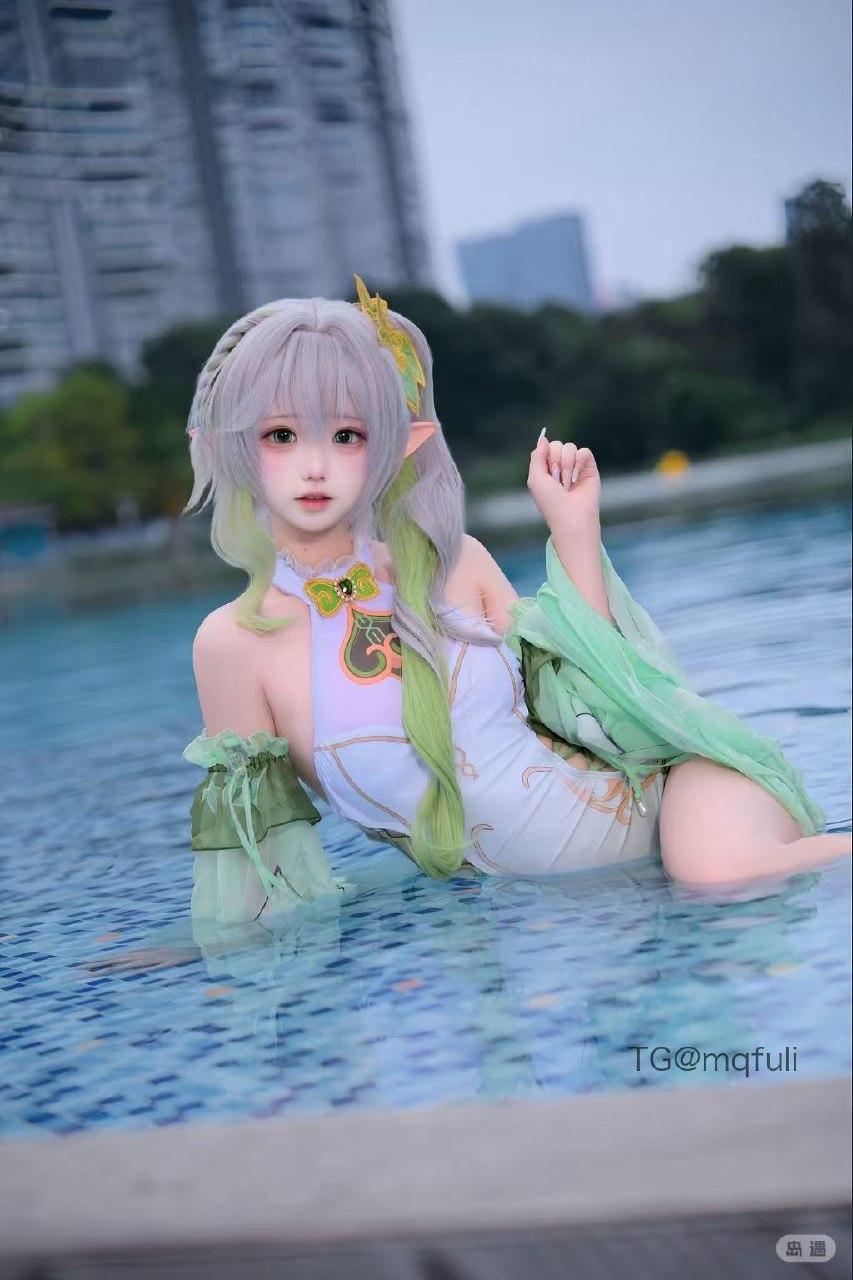 芝舒