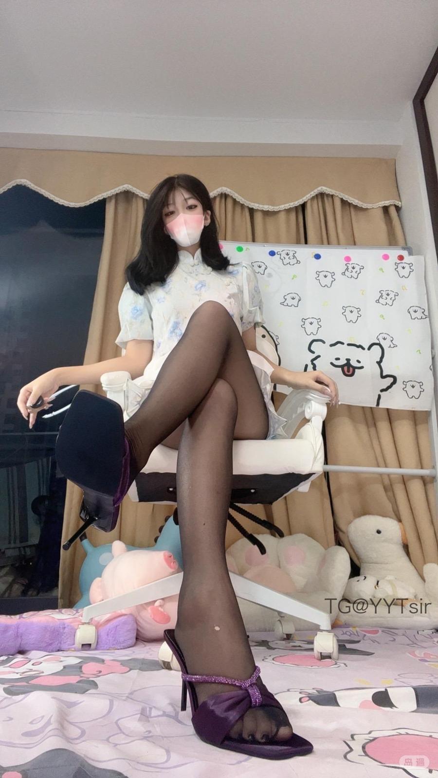 喵喵喜欢狗
