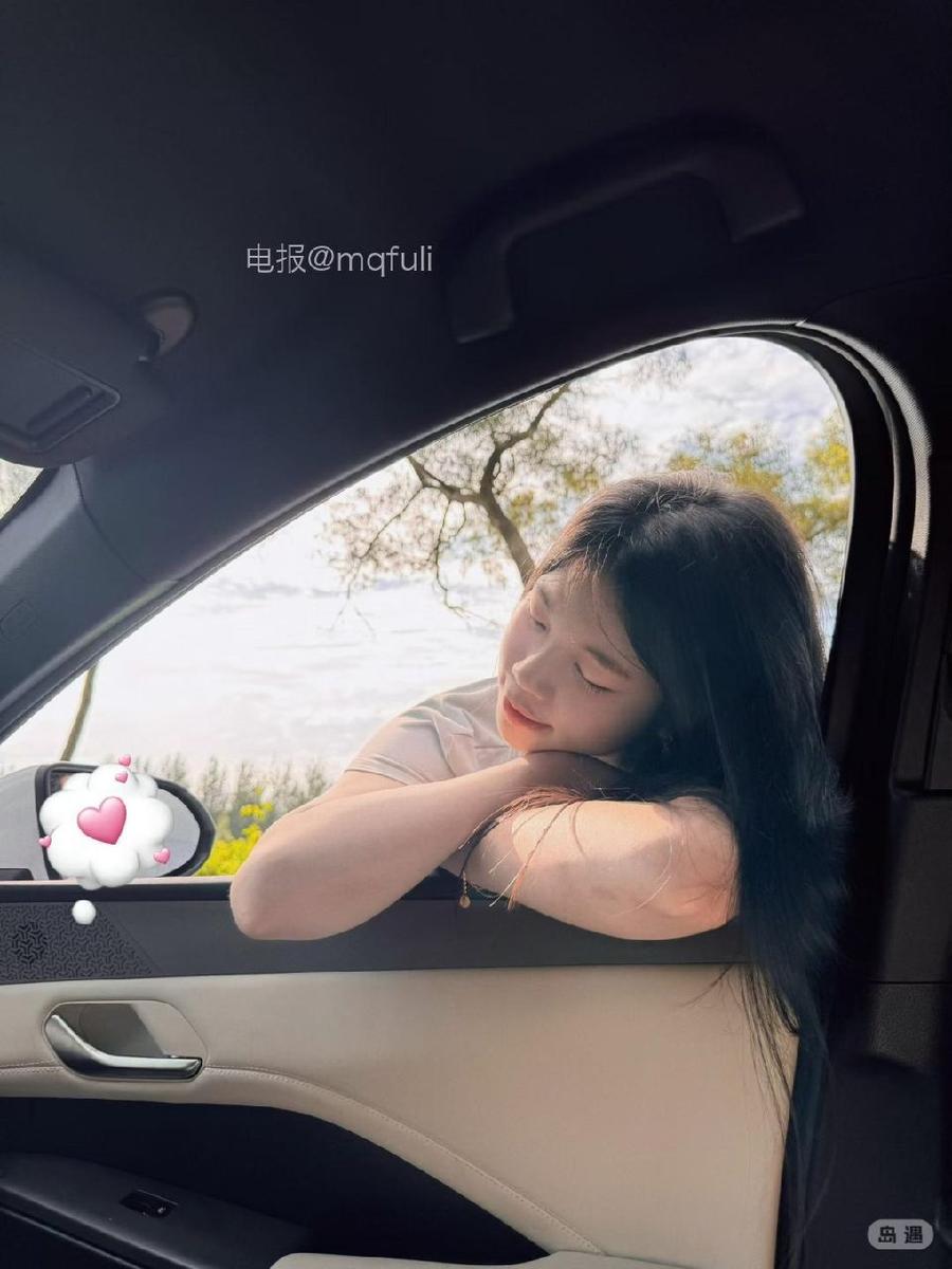 泡澡的银渐层