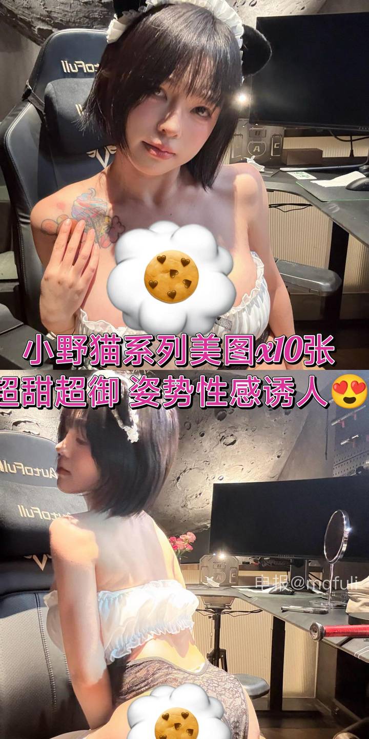 哎呀一一知一 | 2026-05-16照片 是无猫邪 哎呀一一 第1张