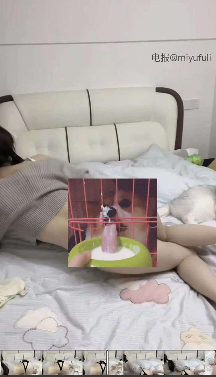 年狗本人反差 | 2026-05-12照片 | 春风桃李花开日