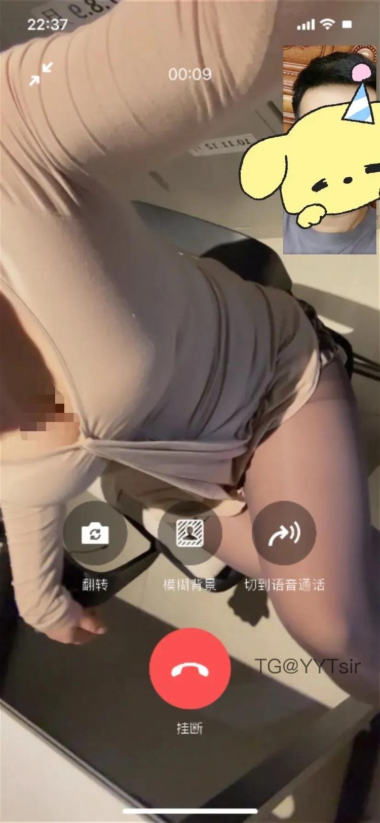 香菜子 | 2026-05-12_1照片 | 常山临代郡