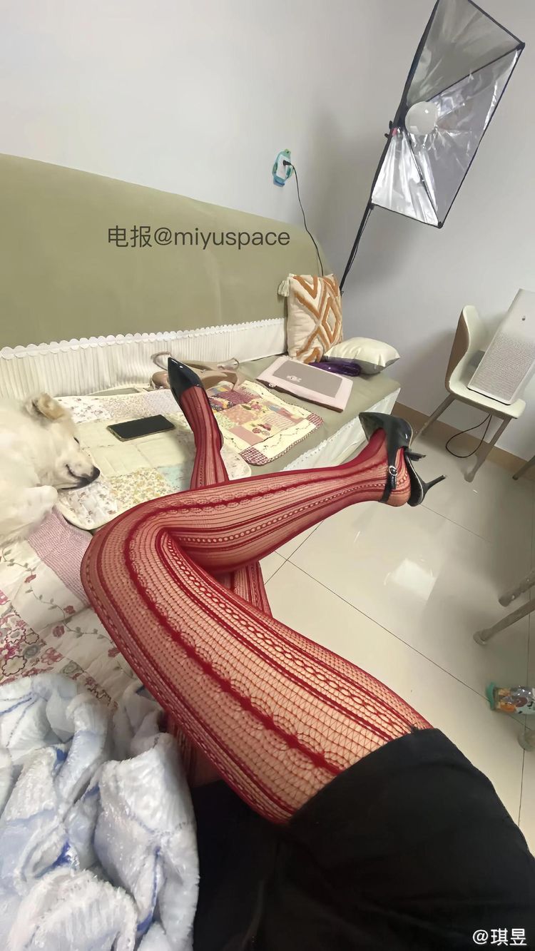 琪昱 | 2026-05-12照片 第13张