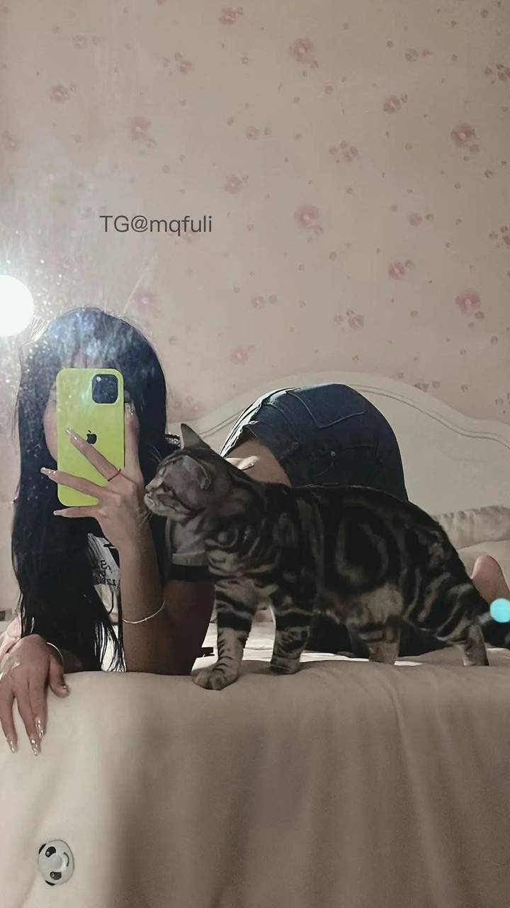 崽崽超乖 | 2026-05-17_5照片 狗吠深巷中 第19张