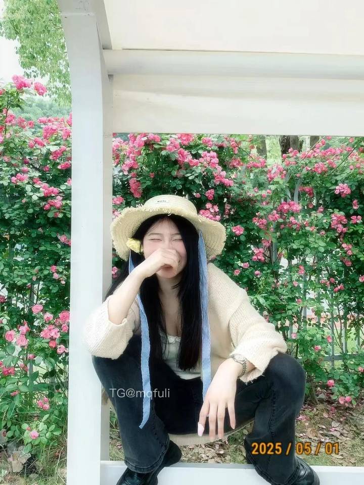 暴躁土豆 | 2026-05-17_1照片 木兰舟上珠帘卷 第13张