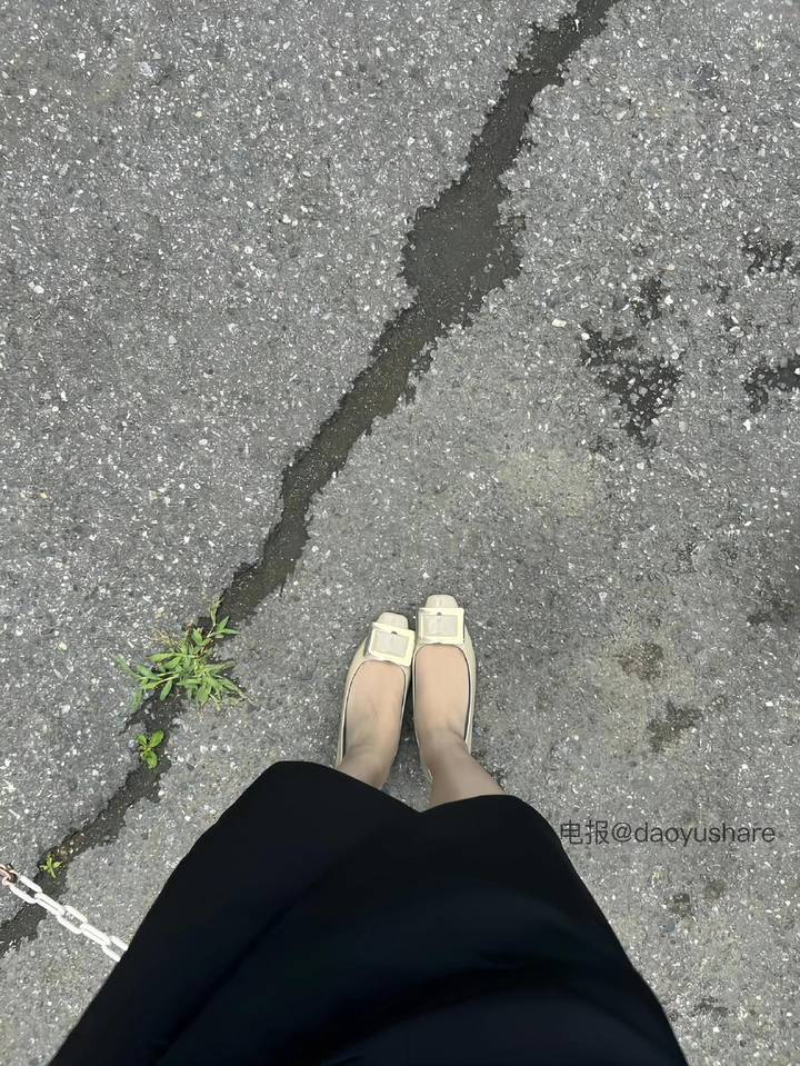 奶油小兔 | 2026-05-17_17照片 | 夜来南风起