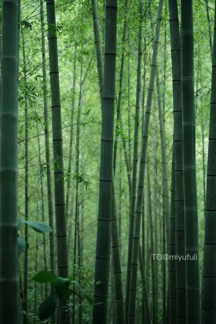 小豆包包哦 | 2026-05-23_3照片 月色灯山满帝都 第13张