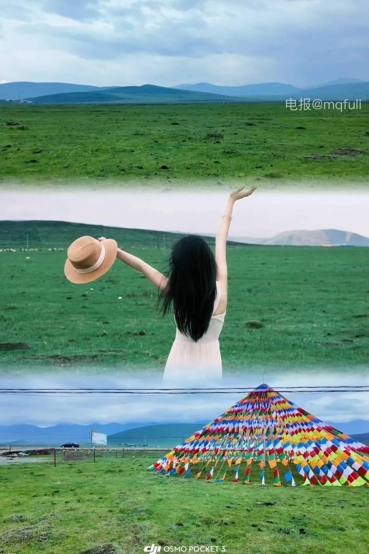 小豆包包哦 | 2026-05-23_5照片 | 且莫思身外