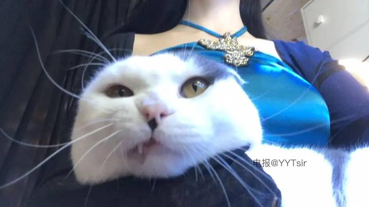 兔艿酱 | 2026-05-17_1照片 第16张