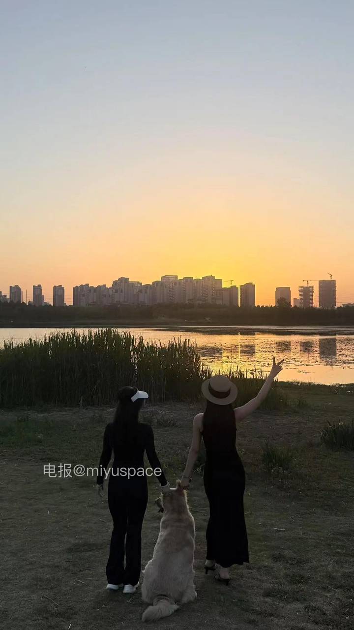发疯草莓日记 | 2026-05-18照片 平生不会相思 第16张