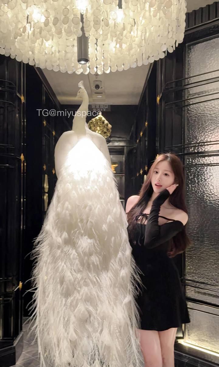 懒懒 | 2026-05-18_1照片 第23张