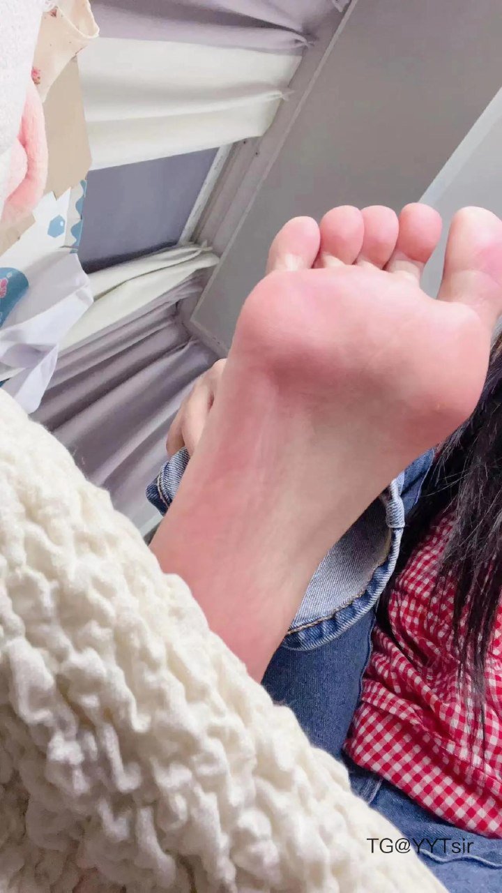 奶苏 2025-05-10 16:52:55 过来小🐶