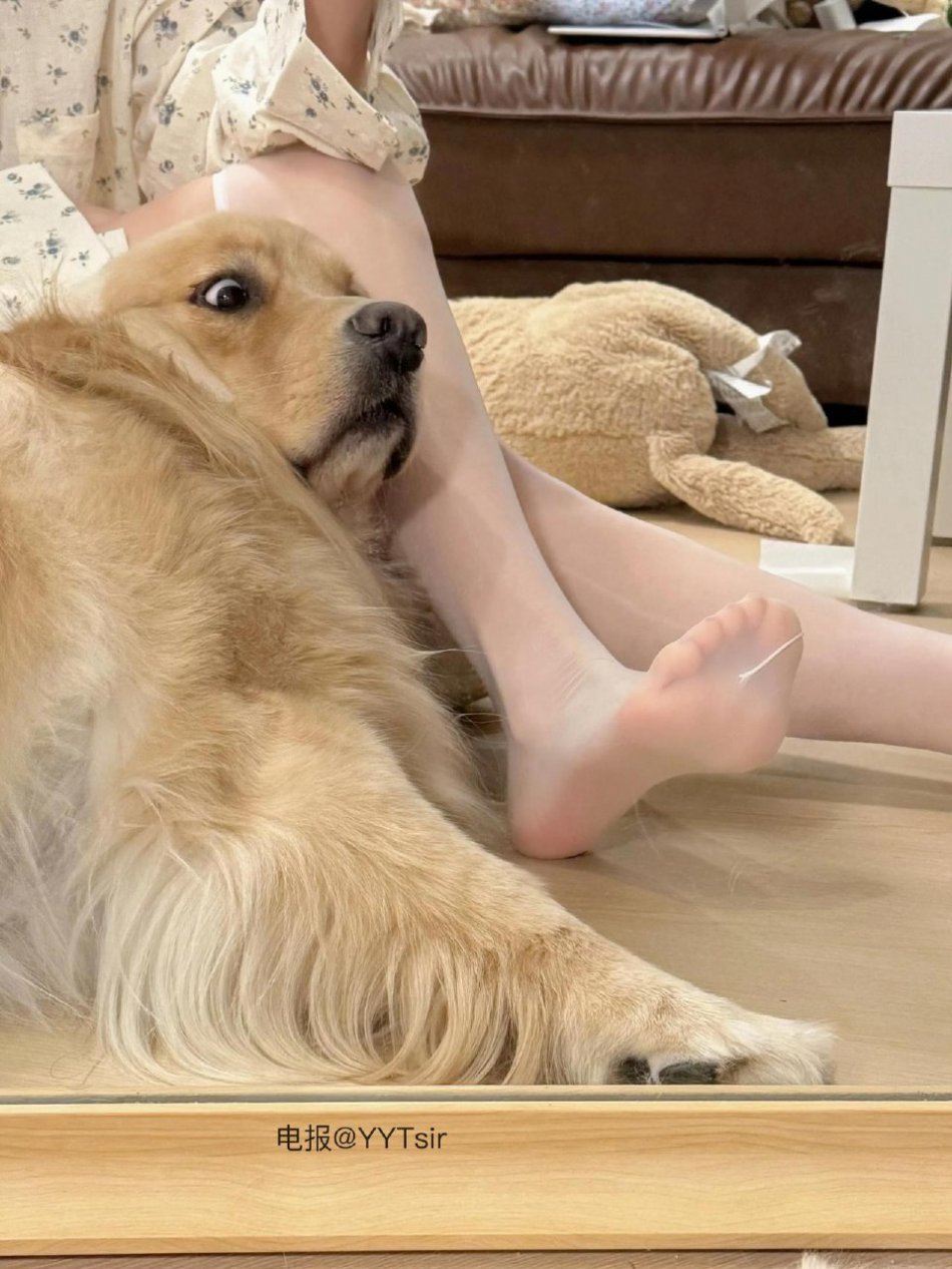 羊小羊 2025-10-20 21:01:27 今天走的脚都疼了😰