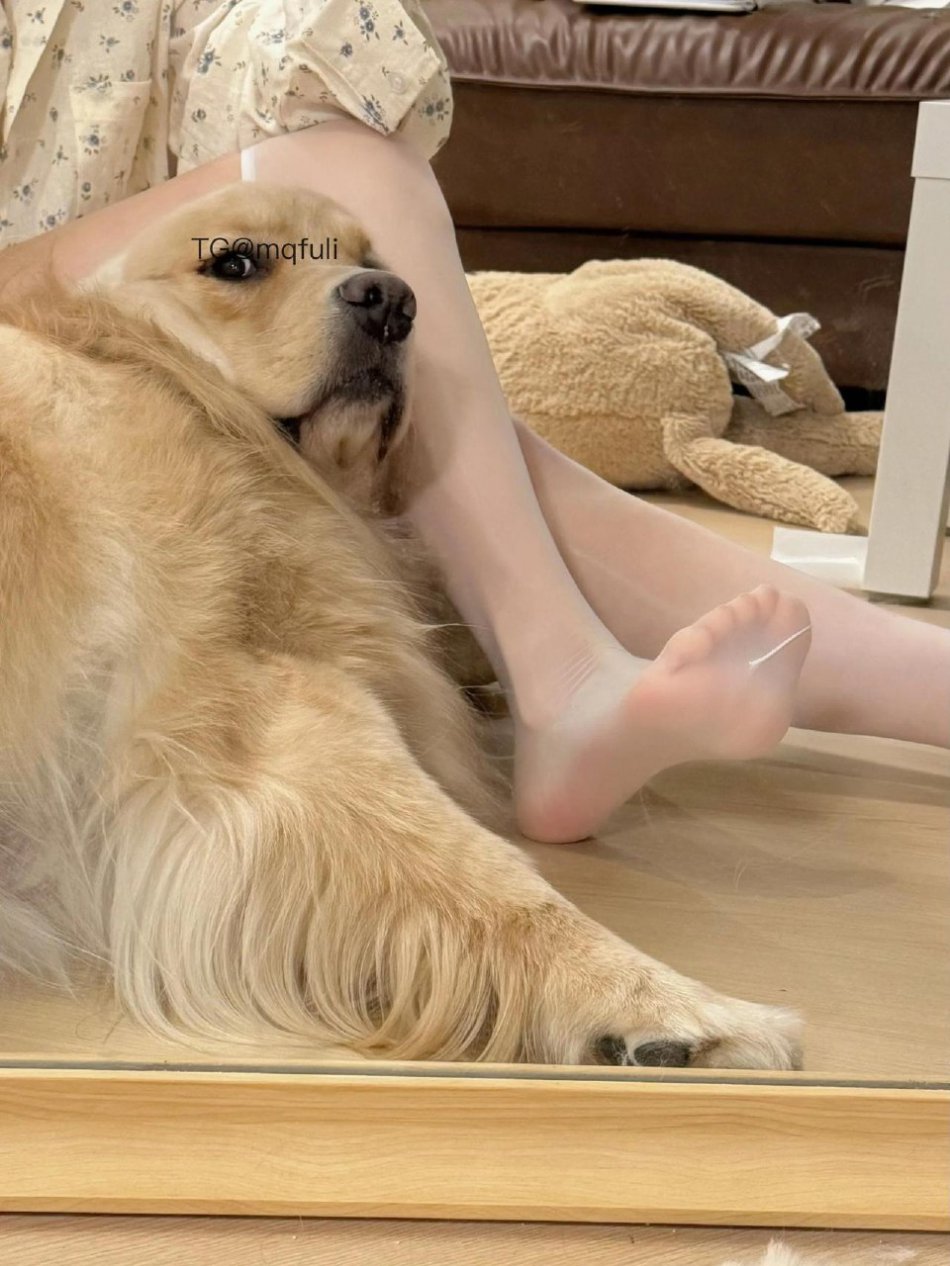 羊小羊 2025-10-20 21:01:27 今天走的脚都疼了😰