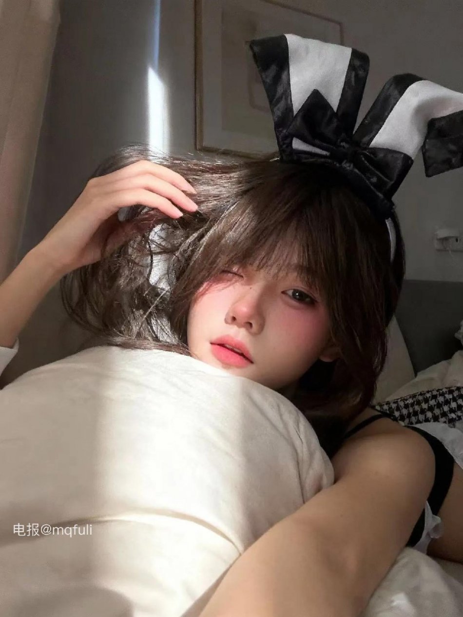小宣先睡噜 2025-12-23 17:04:38 可可爱爱 猫咪脑袋🐱