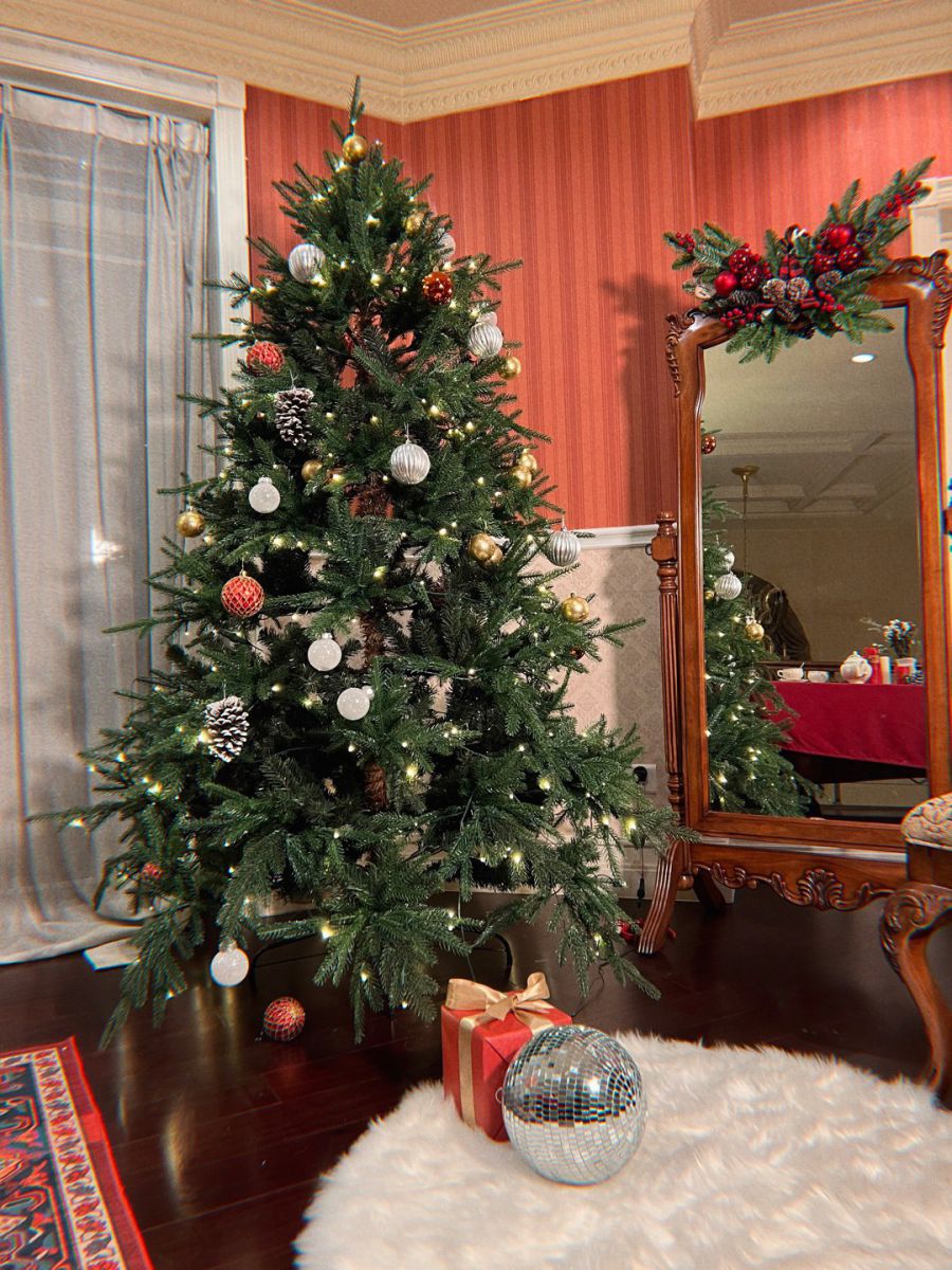 希希Gina 2021-12-10 23:54:43 提前拍的圣诞 第1张