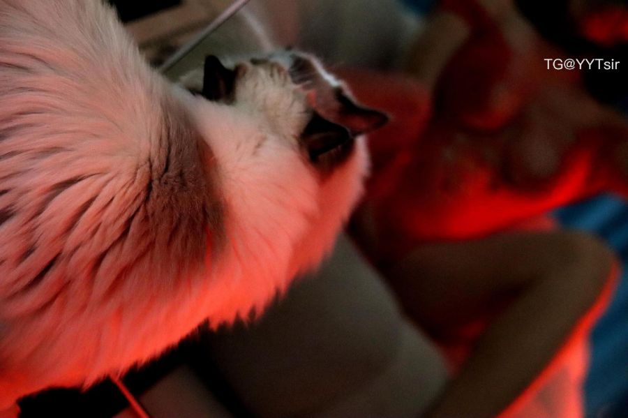 王兔兔啊 2024-01-30 17:36:50 红色胶质洞洞连体套装 王兔兔爱健身 第6张