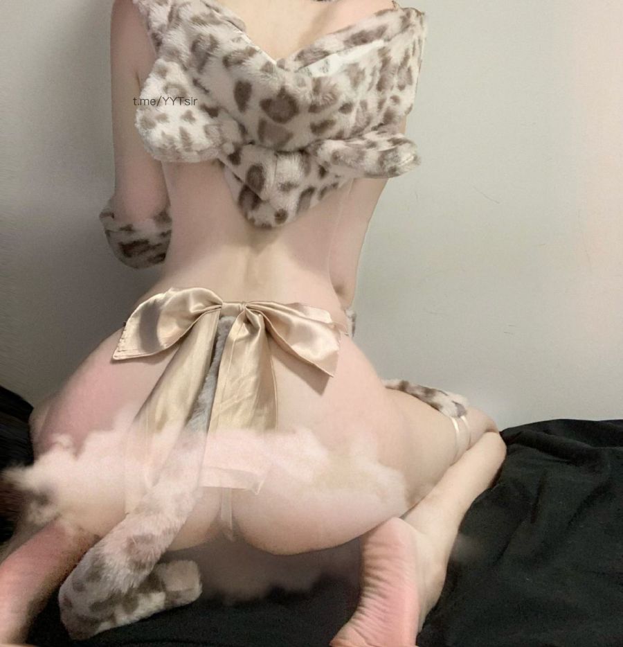 相扑猫 2024-10-10 17:18:30 性感小豹子 野性十足 第6张