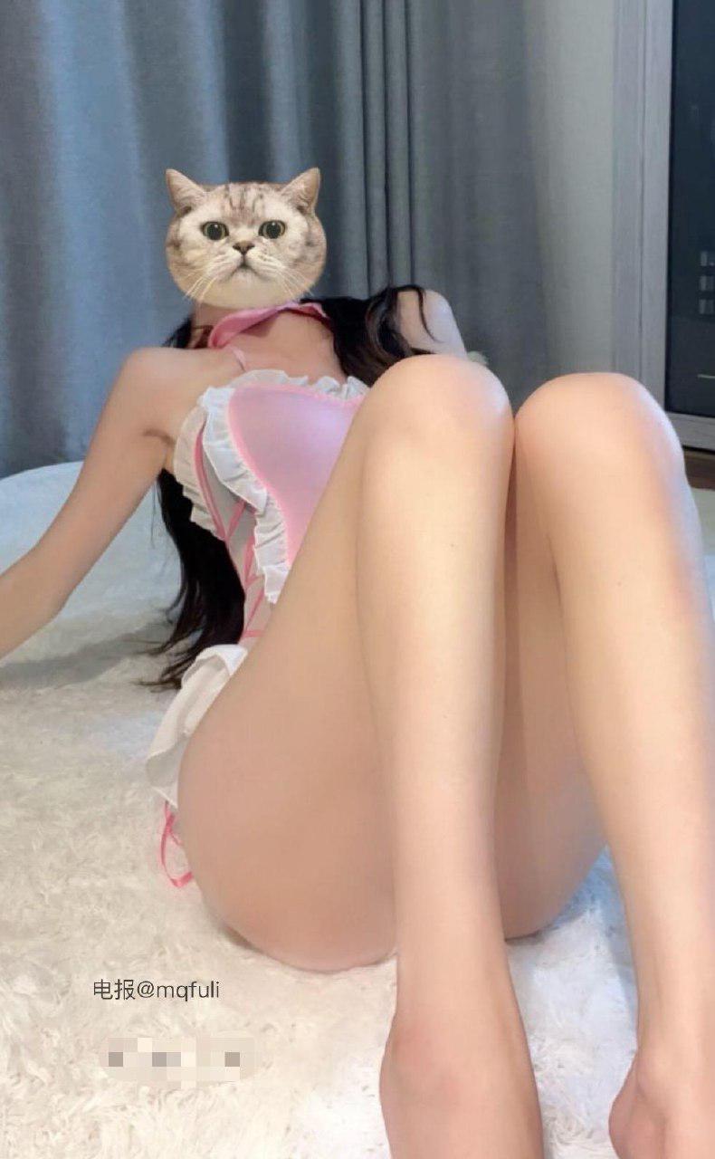 小杏仁 2025-05-19 00:05:10 照片 第2张